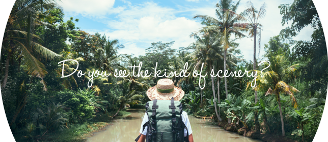 Do you see the kind of scenery?